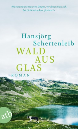 Hansjörg Schertenleib - Wald aus Glas - Roman