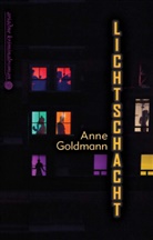 Anne Goldmann - Lichtschacht