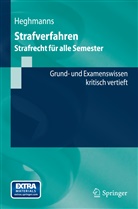 Michael Heghmanns - Strafverfahren