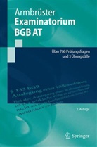 Christian Armbrüster - Examinatorium BGB AT