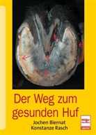 Bierna, Joche Biernat, Jochen Biernat, Rasch, Konstanze Rasch - Der Weg zum gesunden Huf