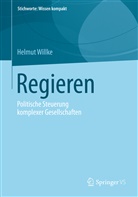 Helmut Willke - Regieren
