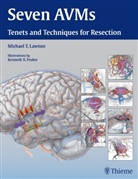Michael T Lawton, Michael T. Lawton, Michael Lawton, Michael T. Lawton, Michae T Lawton, Michael T Lawton - Seven AVMs