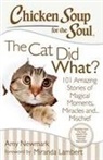 Jack Canfield, Mark Victor Hansen, Amy Newmark, Amy/ Hansen Newmark - The Cat Did What?