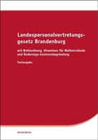 Landespersonalvertretungsgesetz (LPVG) Berlin, Basiskommentar