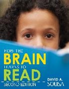 DAVID A. SOUSA, David A. Sousa, David A. A. Sousa, Dr David a (International Educational Consu Sousa, Sousa David A. - How the Brain Learns to Read
