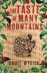 Bruce Wydick - Taste of Many Mountains