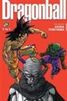 Akira Toriyama, Akira Toriyama - Dragonball