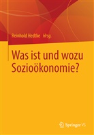 Reinhol Hedtke, Reinhold Hedtke - Was ist und wozu Sozioökonomie?