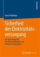Aaron Praktiknjo - Sicherheit der Elektrizitätsversorgung