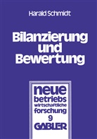 Harald Schmidt - Bilanzierung und Bewertung