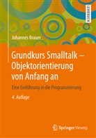 Johannes Brauer - Grundkurs Smalltalk - Objektorientierung von Anfang an