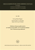 G¿nter Wagner, Günter Wagner - Feldionen-Massenspektrometrie an Kohlenwasserstoffen und Zwischenprodukten ihrer Verbrennungsreaktionen