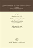 Wolfgang Merzkirch - Aufwirbelung von Staub durch Druckwellen in Luft