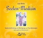 Lisa Biritz - Seelen-Medizin, 1 Audio-CD (Hörbuch)