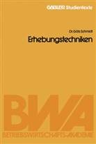 Götz Schmidt - Erhebungstechniken