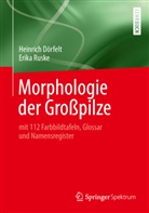 Dörfel, Heinric Dörfelt, Heinrich Dörfelt, Ruske, Erika Ruske - Morphologie der Großpilze