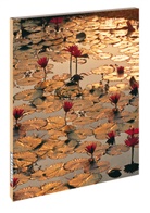 Tushita-Verla, Tushita-Verlag - Blankbook - RB906: Lotus Pond