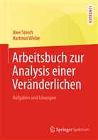 Storc, Uw Storch, Uwe Storch, Wiebe, Hartmut Wiebe - Arbeitsbuch zur Analysis einer Veränderlichen