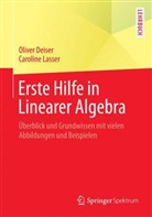 Olive Deiser, Oliver Deiser, Caroline Lasser - Erste Hilfe in Linearer Algebra