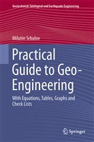 Milutin Srbulov - Practical Guide to Geo-Engineering