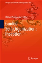 Mikhai Prokopenko, Mikhail Prokopenko - Guided Self-Organization: Inception