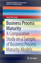 Amy Van Looy, Amy Van Looy - Business Process Maturity
