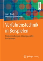 Jose Draxler, Josef Draxler, Matthaeus Siebenhofer, Matthäus Siebenhofer - Verfahrenstechnik in Beispielen