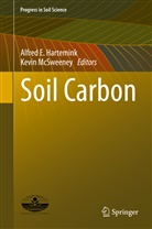 Alfre E Hartemink, Alfred E Hartemink, Alfred Hartemink, Alfred E. Hartemink, McSweeney, McSweeney... - Soil Carbon
