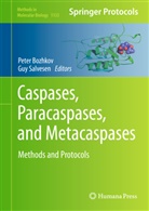 Peter Bozhkov, Salvesen, Salvesen, Guy Salvesen, Pete V  Bozhkov, Peter V Bozhkov... - Caspases,Paracaspases, and Metacaspases