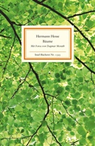 Hermann Hesse, Dagmar Morath, Volke Michels, Volker Michels - Bäume