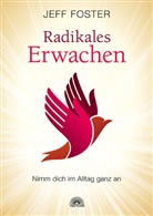 Jeff Foster - Radikales Erwachen