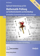 Rolan Ott, Roland Ott, Stefan Rosner - Optimale Vorbereitung auf die Mathematik-Prüfung zur Fachhochschulreife (am Berufskolleg)