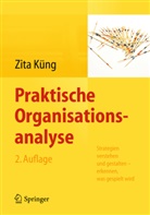 Zita Küng - Praktische Organisationsanalyse