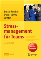 Christin Busch, Christine Busch, Antje Ducki, Antje u a Ducki, Tanja Kalytta, Gunnar Liedtke... - Stressmanagement für Teams