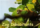 Bianca Schumann, Schumann Bianca - Zoo Inhabitants (Poster Book DIN A3 Landscape)