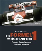 Martin Pfundner - Die Formel 1 in Österreich