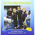 Hm (COR), Reading, Houghton Mifflin Company - In the Big Blue Sea, Little Big Book Level K Unit 4 Book 18