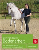 Corinna Scholz - BLV Handbuch Bodenarbeit