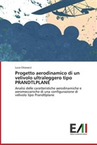 Luca Chiavacci - Progetto aerodinamico di un velivolo ultraleggero tipo PRANDTLPLANE