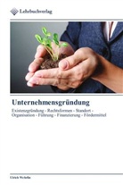 Ulrich Wehrlin - Unternehmensgründung