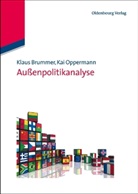 Brumme, Klau Brummer, Klaus Brummer, Oppermann, Kai Oppermann - Außenpolitikanalyse