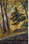 Barbara Schmitz - Always the Detail