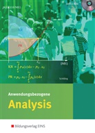 Jens Helling, Klaus Schilling, Klaus Schilling - Anwendungsbezogene Analysis für die Allgemeine Hochschulreife an Beruflichen Schulen
