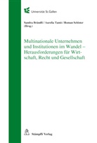Sandr Brändli, Sandra Brändli, Roma Schister, Roman Schister, Aurelia Tamò, Sandra Brändli... - Multinationale Unternehmen und Institutionen im Wandel - Herausforderungen für Wirtschaft, Recht und Gesellschaft