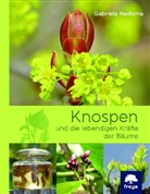 Gabriela Nedoma - Knospen