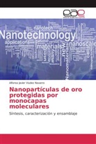 Alfonso Javier Viudez Navarro - Nanopartículas de oro protegidas por monocapas moleculares