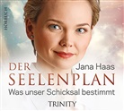 Jana Haas, Susanne Aernecke, Jana Haas - Der Seelenplan, 3 Audio-CDs (Hörbuch)