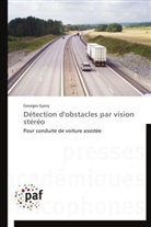 Georges Gyory, Gyory-g - Detection d obstacles par vision