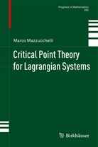 Marco Mazzucchelli - Critical Point Theory for Lagrangian Systems